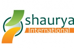 Shaurya International