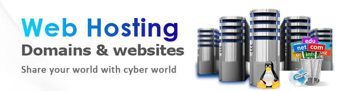 domain-web-hosting-services